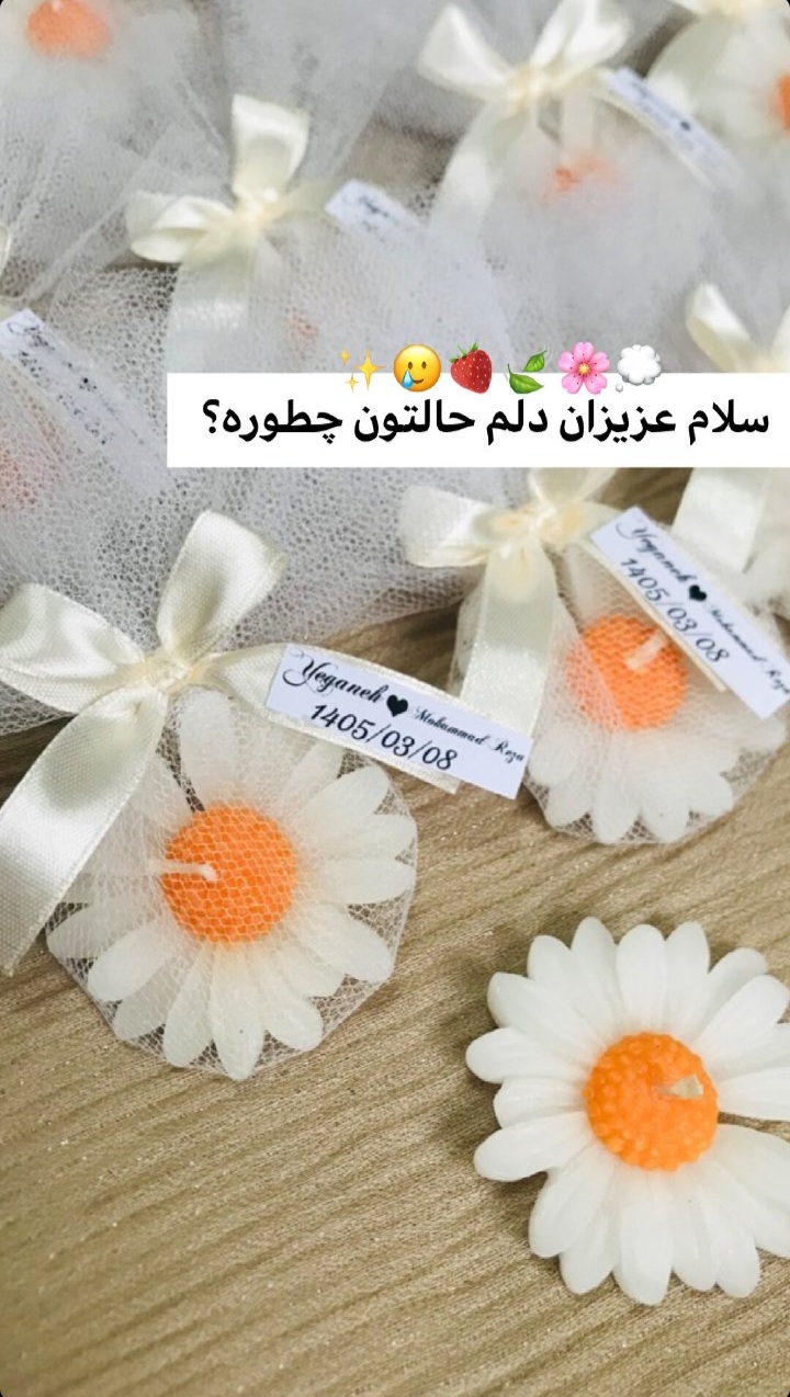 گیفت شمع بابونه آرورا لطیف، نوستالژیک و صمیمی