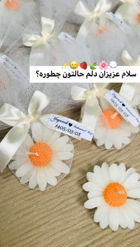 گیفت شمع بابونه آرورا لطیف، نوستالژیک و صمیمی