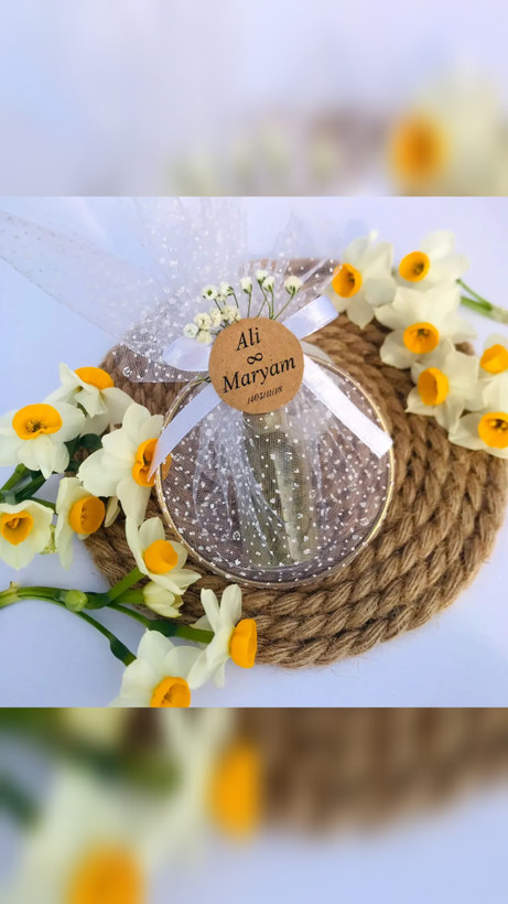 گیفت حلقه و ویال حنا